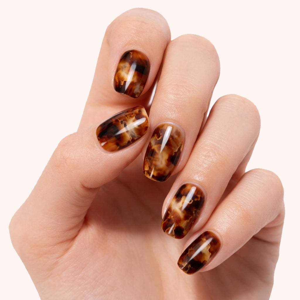 Écaille Ambrée — N°267