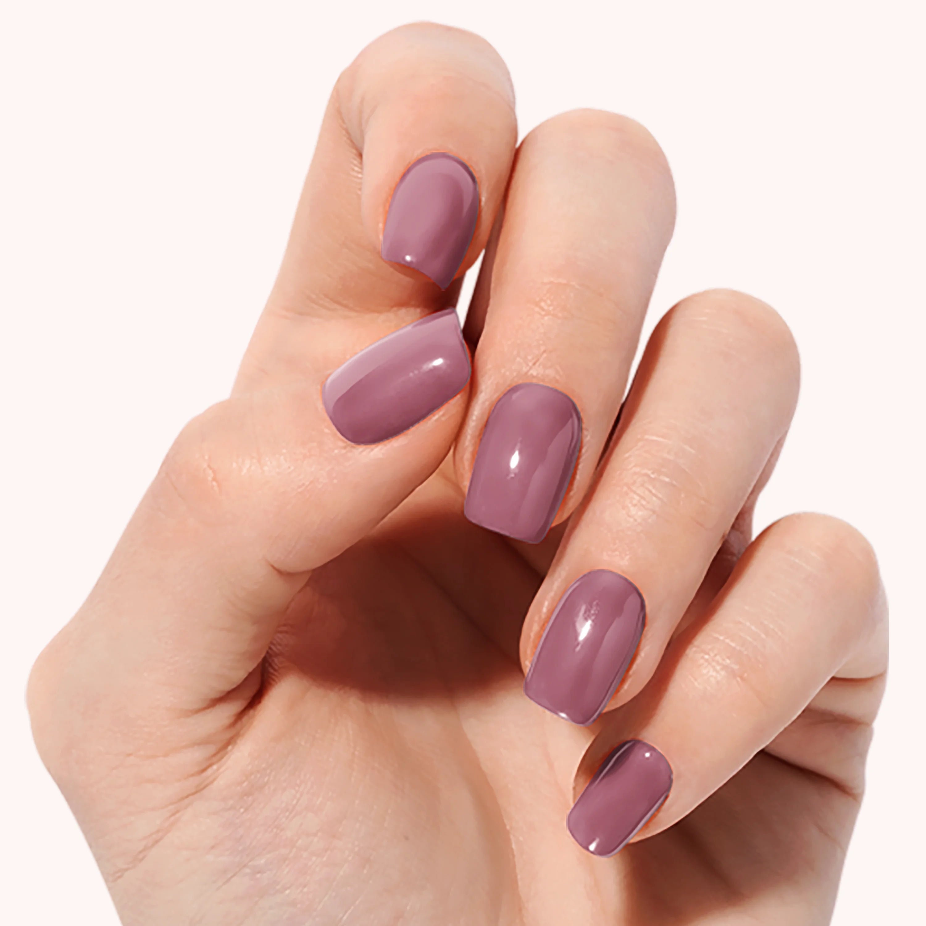 Brume de Cassis — N°293