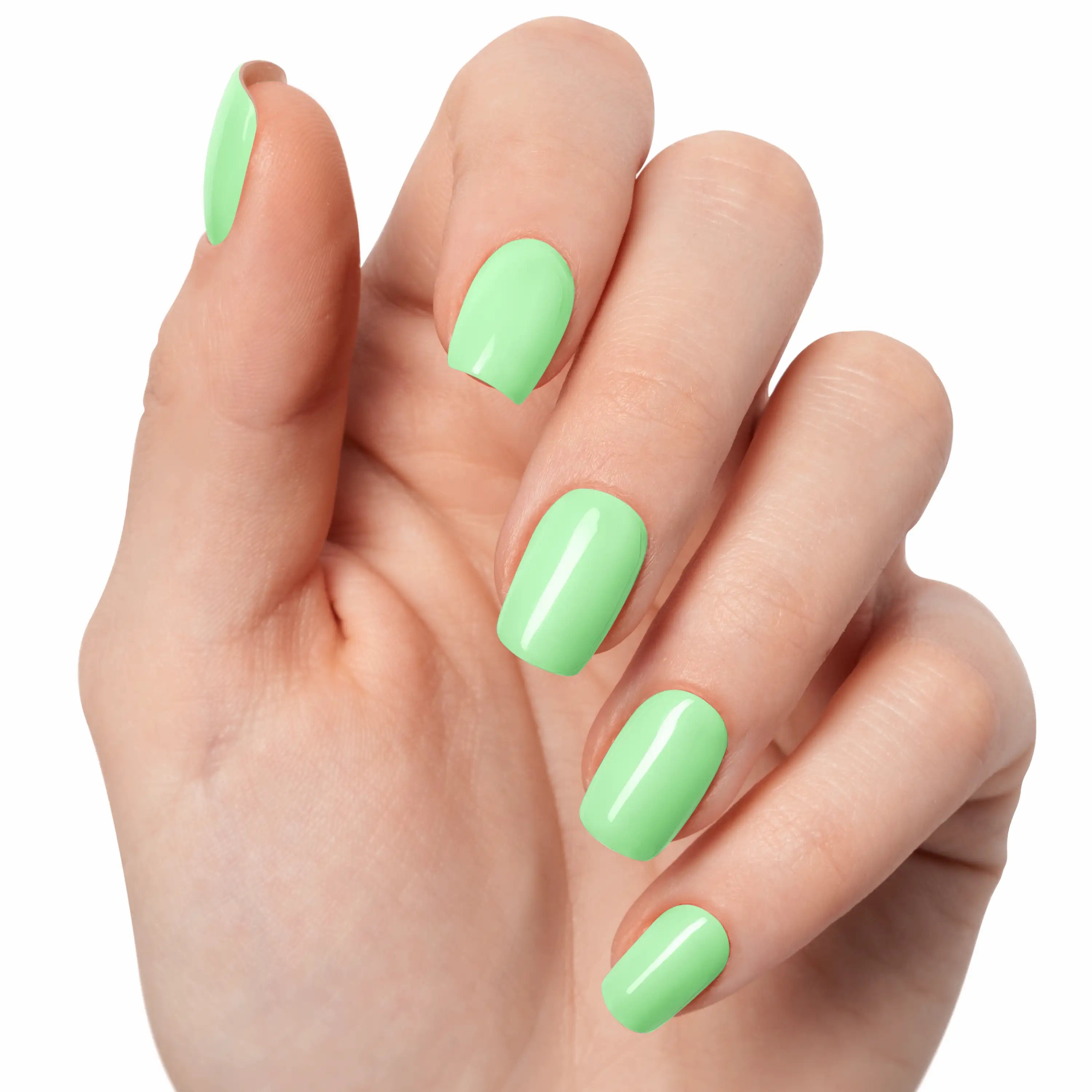 Vert d’Eau — N°202