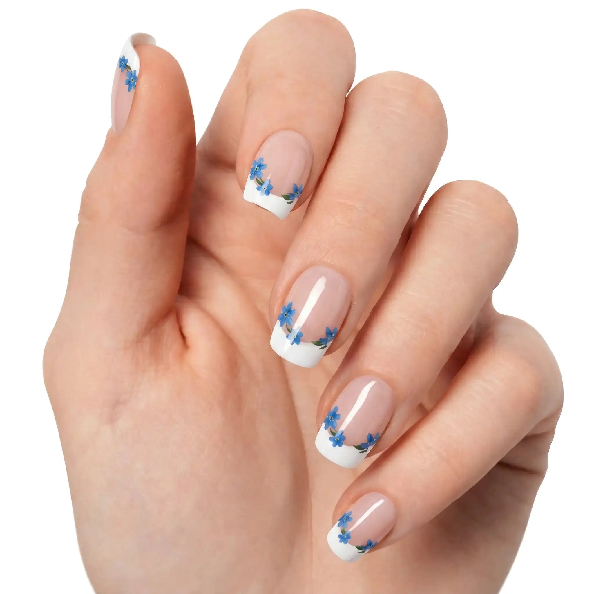 French Bleuets — N°165