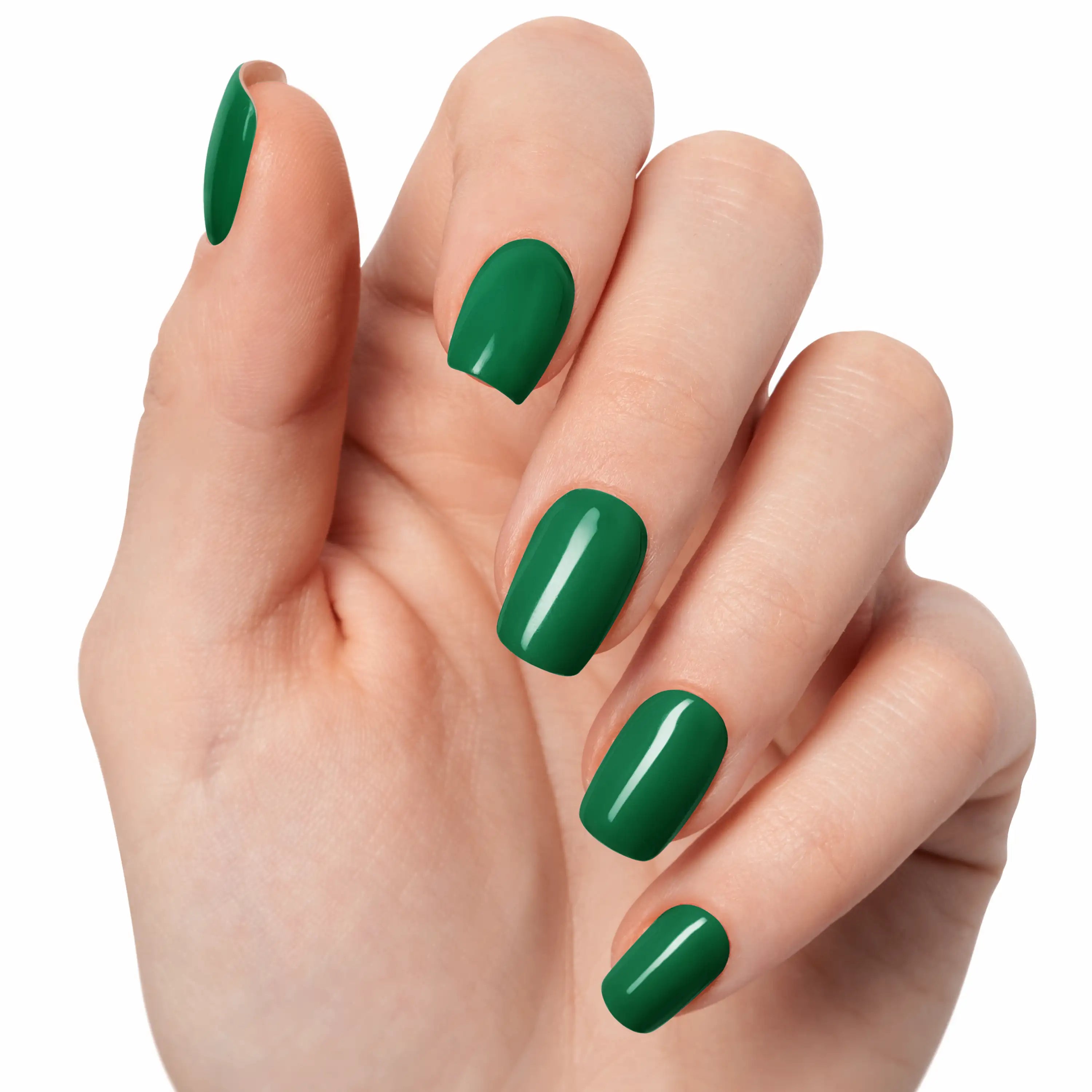 Vert sapin — N°009