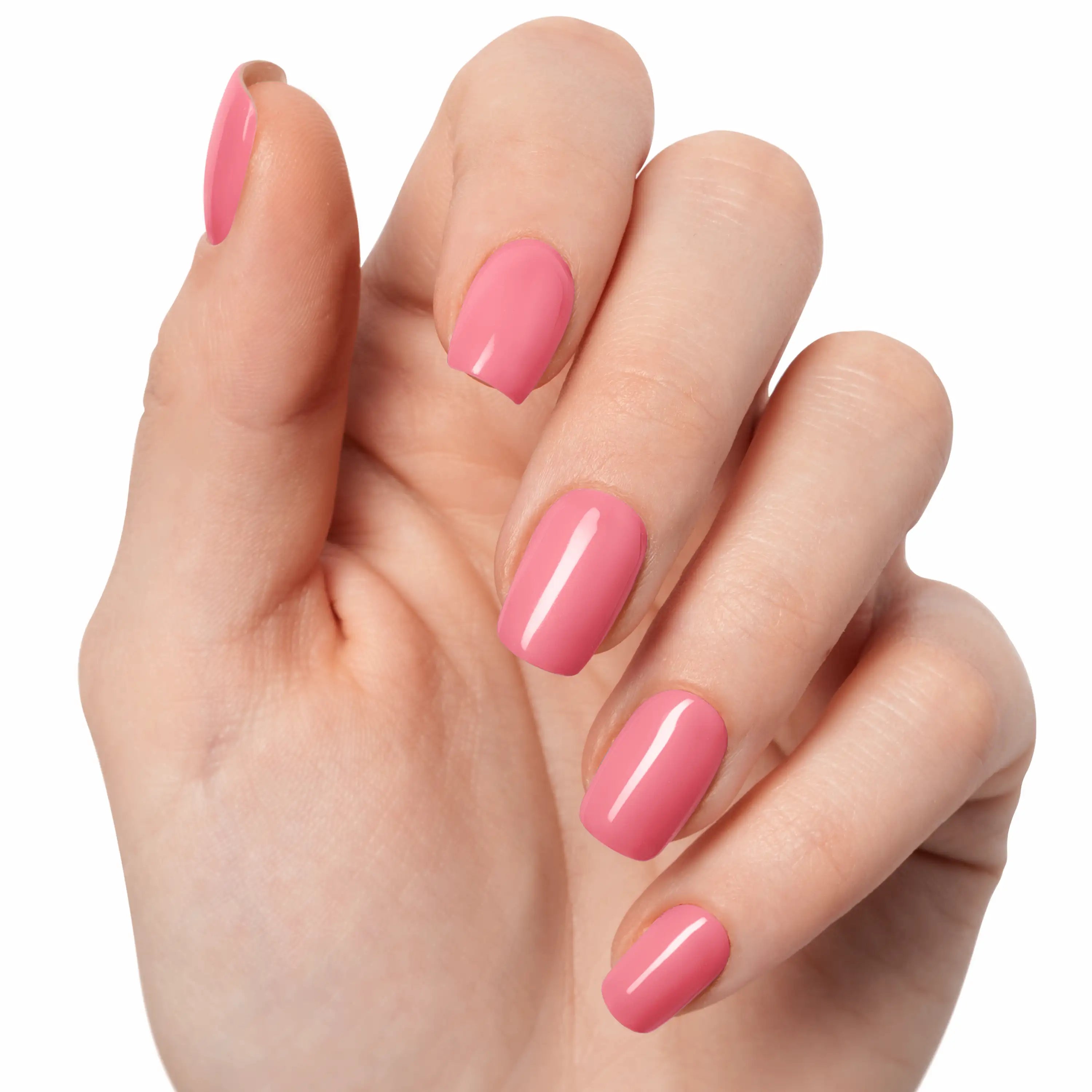 Rose Orchidée — N°067