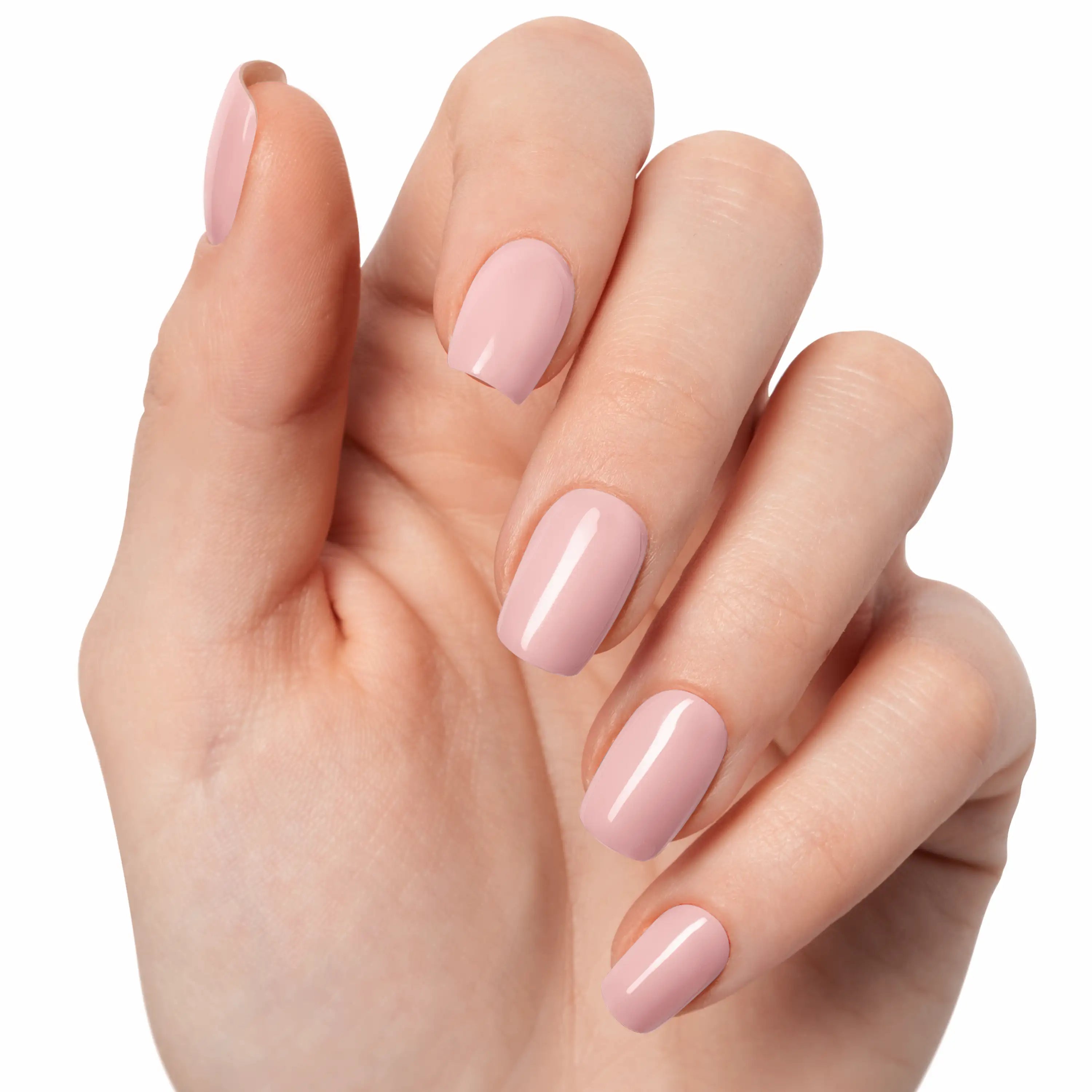 Rose Pâle — N°211