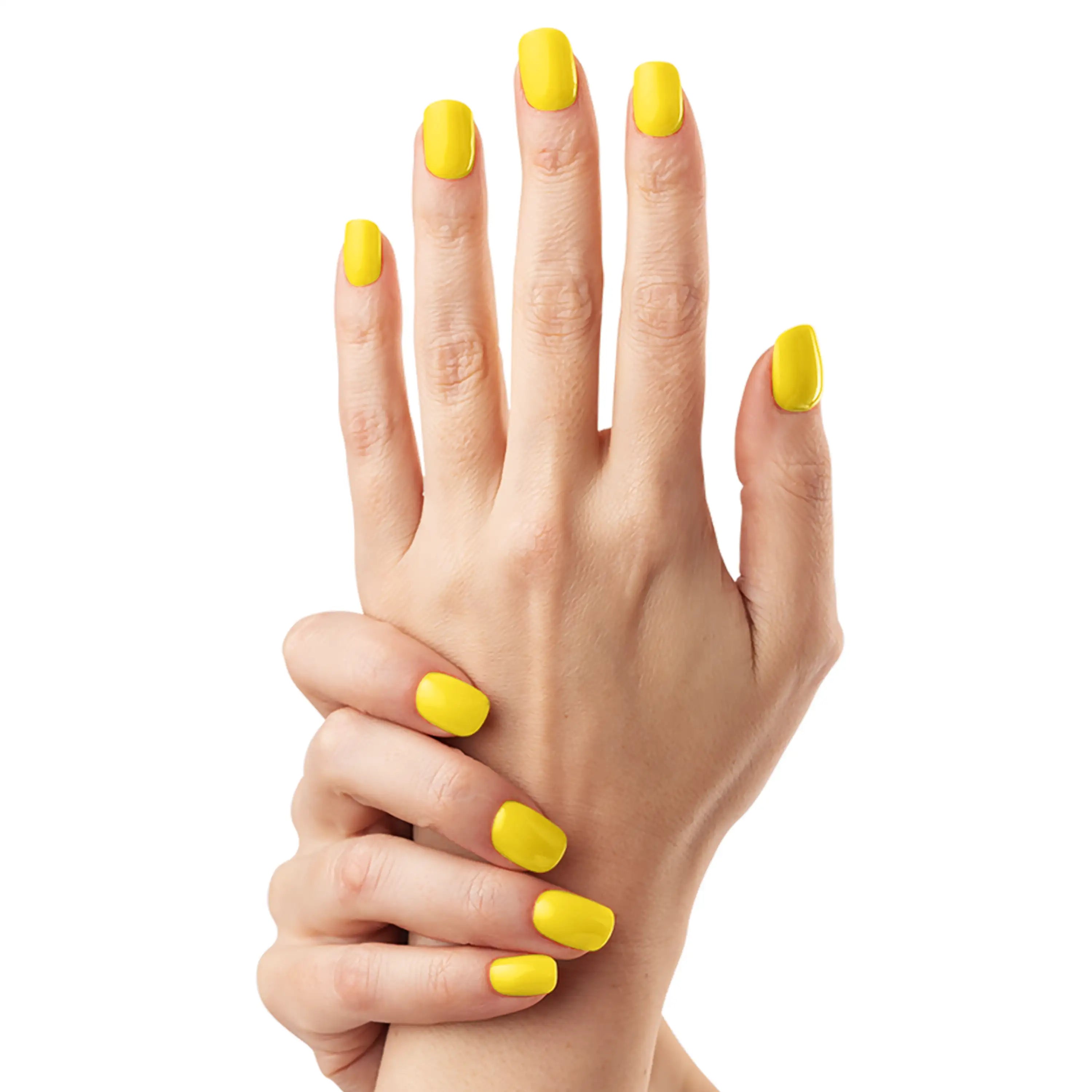 Zeste de Citron — N°288